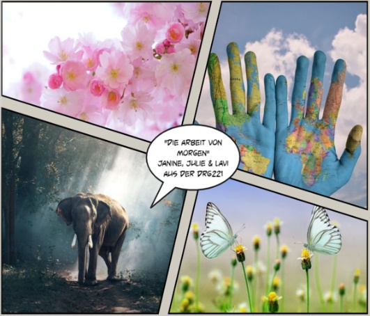 Deckblatt zum „creative book“ der Siegerklasse DRG221